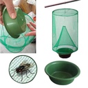 fly Trap