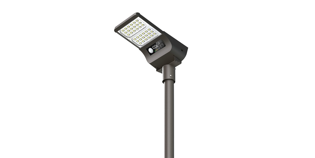 ALPHA  