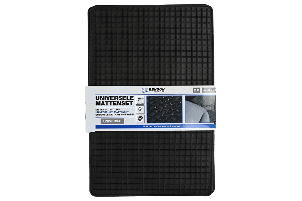 2 -room car carpet 43 x 29 cm rear pvc