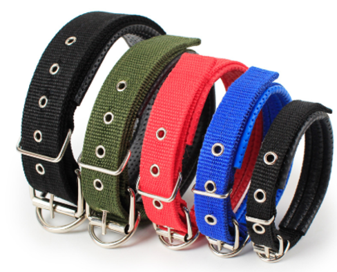 Color dog necklace match 2.5*52cm