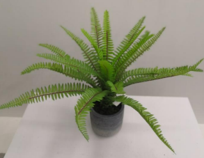 FA 31cm FERN WITH POT