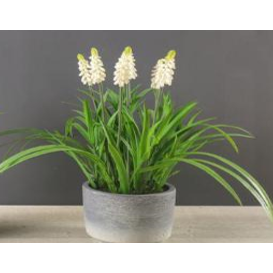 FA 35cm YELLOW HYACINTHS
