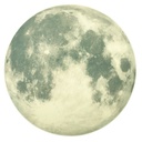 [2127 ZEN21] Moon sticker shining in black diam20cm