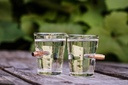 [2063 ZEN21] Bulletproof glass 2 pieces