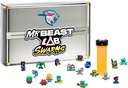 [24766] MrBeast Lab
