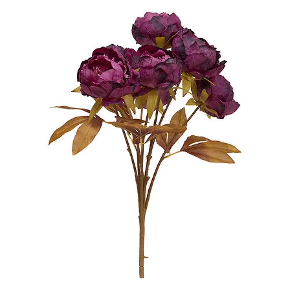 Bouquet of peonies Fria H53