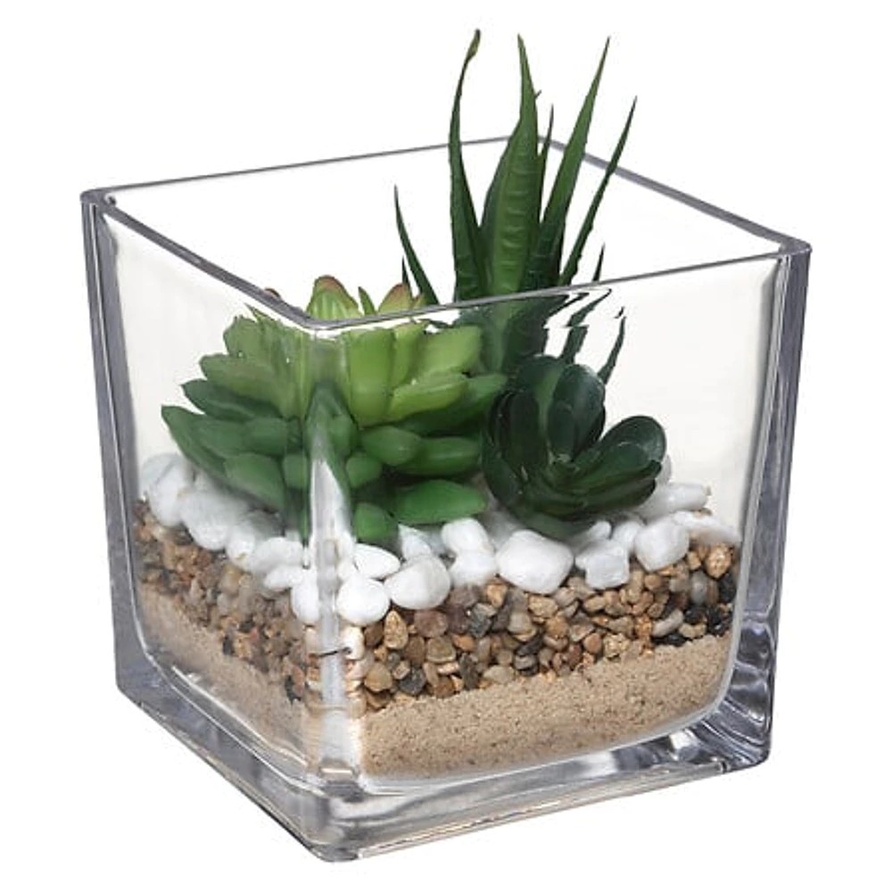 Tio glass plant terrarium H29.5 cm