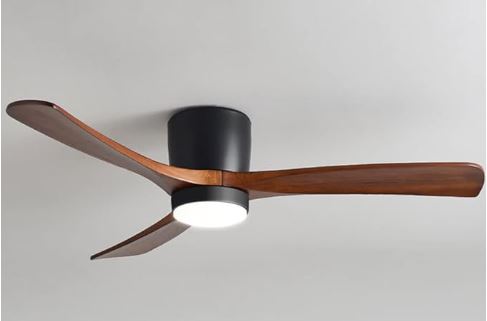 SABA BIEN NOIR air blower