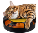 [5404 ZT] Catch the Mouse plastic cat plush