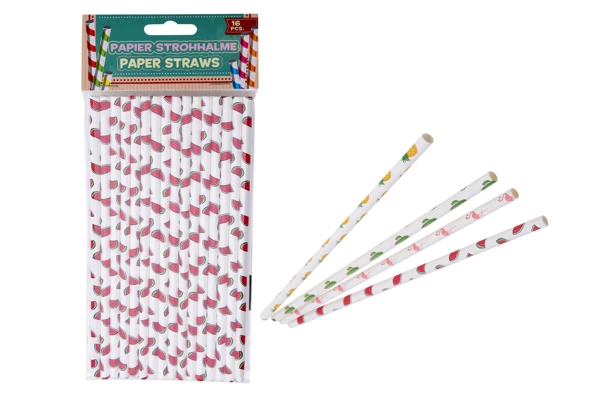 Paper Straws 16 pieces RT1