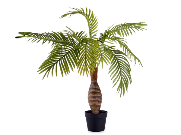 Plante and Pot Palmier Tige Large 90cm