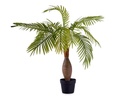 [79596] Plante and Pot Palmier Tige Large 90cm