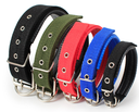 COLLIER CHIEN COULEUR ASSORTIR 4.0*70cm   