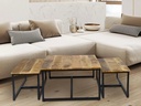 Table basse – ensemble de 3 tables d’appoint 