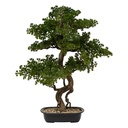 Bonsai en pot céramique Polin H86 cm – vert