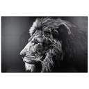 Toile imprimée Lion 78x118 cm – noir et blanc