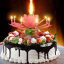Bougie d'Anniversaire Magique Fleur Musicale
