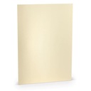 Carton Paperado DIN A4, FSC Mix Credit, cachemire