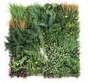 Mur vegetal Jungle Hush Pour Exterieur DBC05 