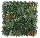 Mur vegetal BotaniX pour Exterieur DBZ01 
