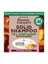 Garnier Ultra Doux Shampooing solide Gingembre 60g