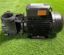 2HP One-Speed Pump (2.8m Power cord) - D.05.0366